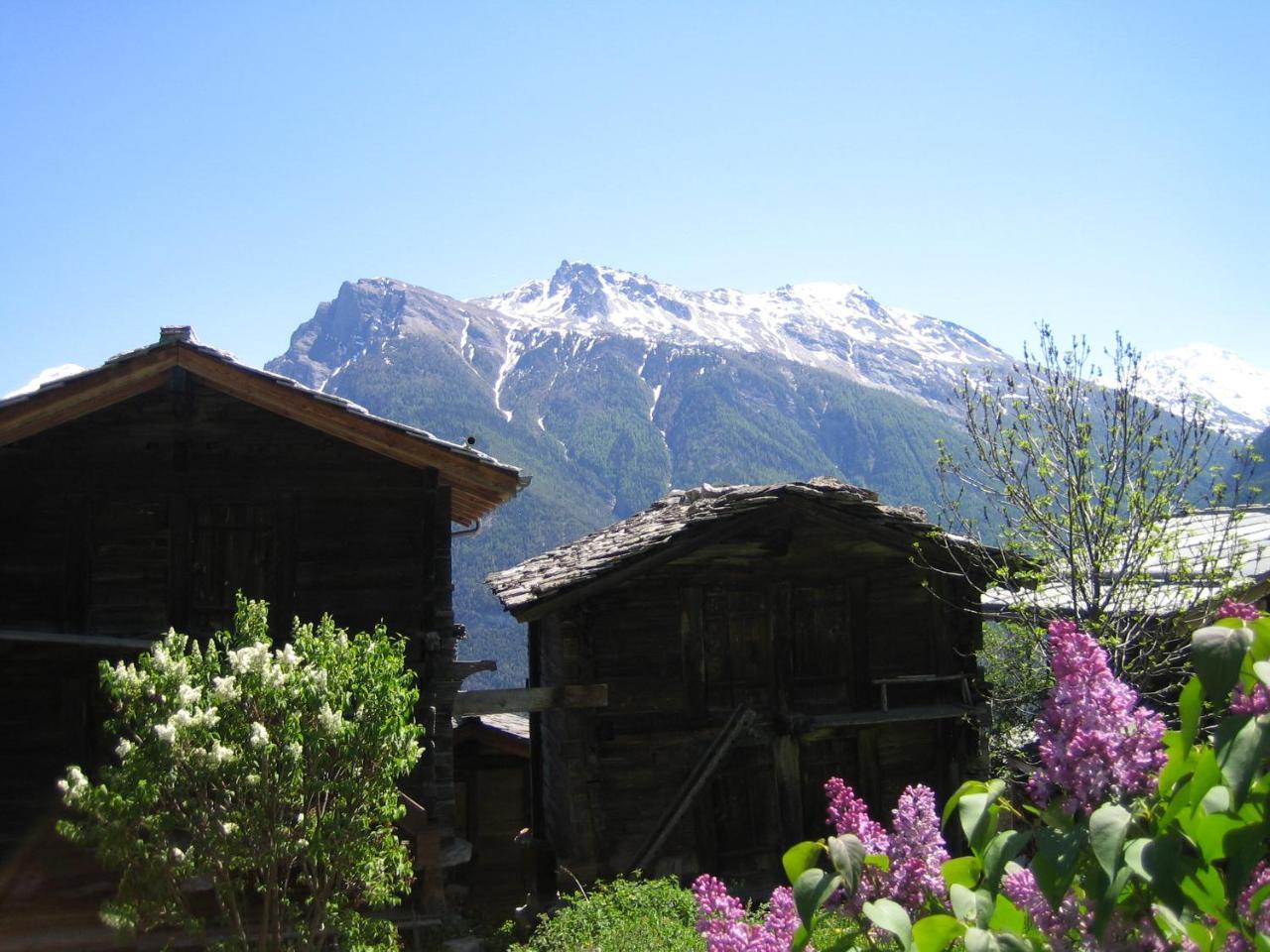 Bergquell Haus A Appartement Blatten bei Naters Buitenkant foto